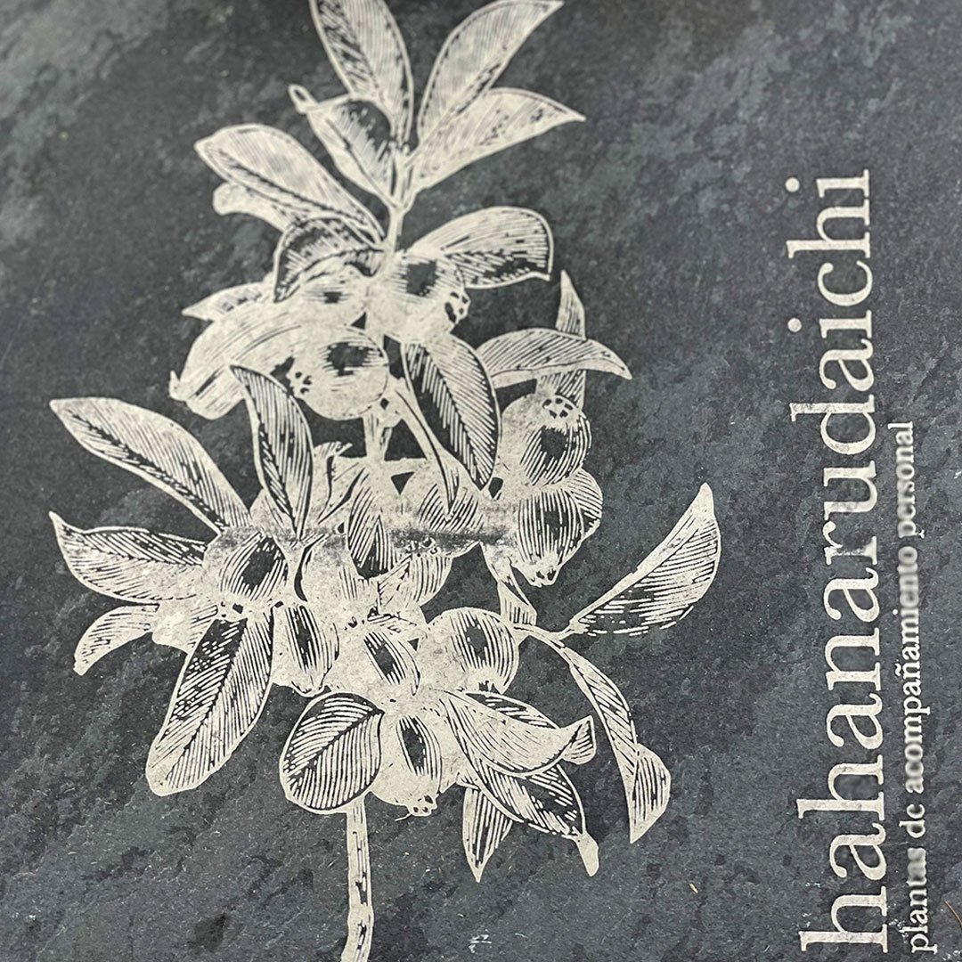 hahanarudaichi - Image 2